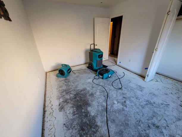 Best Ceiling water damage repair  in Hayfork, CA