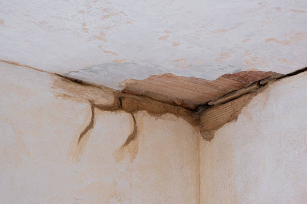 Best Flood damage cleanup  in Hayfork, CA