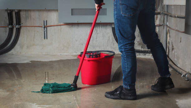 Best Water damage restoration near me  in Hayfork, CA