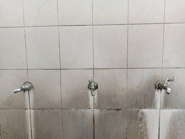 Best Basement water damage restoration  in Hayfork, CA