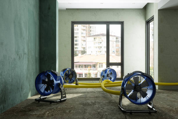Best Emergency water damage restoration  in Hayfork, CA